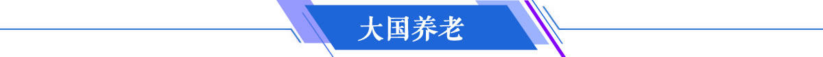 大国养老