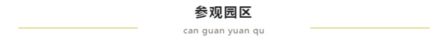 微信图片_20190701182156.jpg
